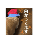 エアロによるエアロのためのエアロスタンプ（個別スタンプ：3）