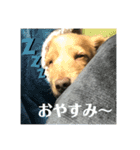 エアロによるエアロのためのエアロスタンプ（個別スタンプ：4）