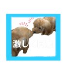 エアロによるエアロのためのエアロスタンプ（個別スタンプ：7）