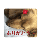 エアロによるエアロのためのエアロスタンプ（個別スタンプ：8）