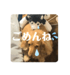 エアロによるエアロのためのエアロスタンプ（個別スタンプ：9）
