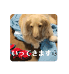 エアロによるエアロのためのエアロスタンプ（個別スタンプ：10）