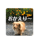 エアロによるエアロのためのエアロスタンプ（個別スタンプ：13）