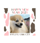 もなかのお年賀スタンプ2021（個別スタンプ：11）