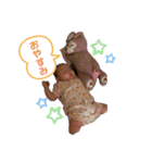 がちゅこ⑵（個別スタンプ：30）