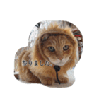 吾輩は語らぬ猫である（個別スタンプ：3）