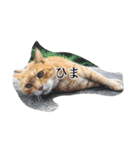 吾輩は語らぬ猫である（個別スタンプ：4）