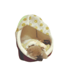 マルチネス。（個別スタンプ：8）