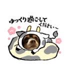 モコ時々まりお（個別スタンプ：1）