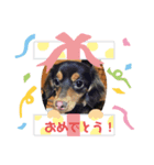 モコ時々まりお（個別スタンプ：3）