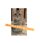 zeroの毎日Part2（個別スタンプ：16）