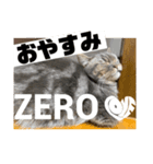 zero＆りん（個別スタンプ：4）