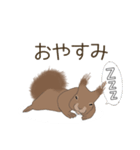 癒し生活 [エゾリス]（個別スタンプ：3）