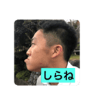 ひよりの日常1（個別スタンプ：4）