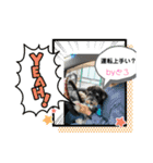 シュナウザー犬とろ（個別スタンプ：12）