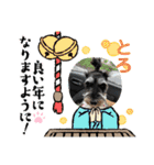 シュナウザー犬とろ（個別スタンプ：14）