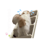 お豆腐メンタルねこ氏（個別スタンプ：4）