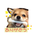 ロクすたんぷ 2（個別スタンプ：1）