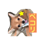 ロクすたんぷ 2（個別スタンプ：2）