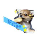 ロクすたんぷ 2（個別スタンプ：5）