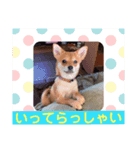 ロクすたんぷ 2（個別スタンプ：6）
