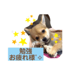 ロクすたんぷ 2（個別スタンプ：7）