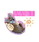 ロクすたんぷ 2（個別スタンプ：8）