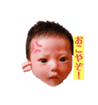 僕スタ₁（個別スタンプ：7）