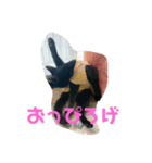 黒猫てんちゃん3（個別スタンプ：6）