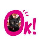 黒猫てんちゃん2（個別スタンプ：4）