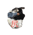 まきちゃんA（個別スタンプ：4）