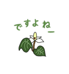 ひとこと植物4（個別スタンプ：5）