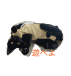 黒猫てんちゃん（個別スタンプ：2）