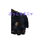 黒猫てんちゃん（個別スタンプ：4）