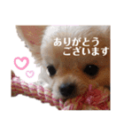 ちーぼう＆くぅ③（個別スタンプ：9）