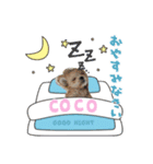 COCOちゃんとKOTETUくん（個別スタンプ：1）