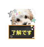 COCOちゃんとKOTETUくん（個別スタンプ：3）