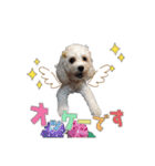 COCOちゃんとKOTETUくん（個別スタンプ：4）