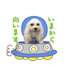 COCOちゃんとKOTETUくん（個別スタンプ：6）