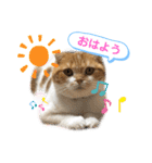 はむちゃんのかわいいすたんぷ（個別スタンプ：2）