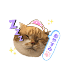 はむちゃんのかわいいすたんぷ（個別スタンプ：3）