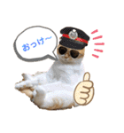 はむちゃんのかわいいすたんぷ（個別スタンプ：9）