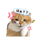 はむちゃんのかわいいすたんぷ（個別スタンプ：11）