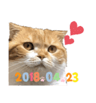 はむちゃんのかわいいすたんぷ（個別スタンプ：22）