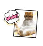 はむちゃんのかわいいすたんぷ（個別スタンプ：26）