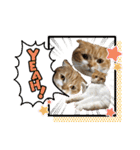 はむちゃんのかわいいすたんぷ（個別スタンプ：27）