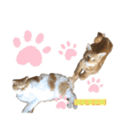はむちゃんのかわいいすたんぷ（個別スタンプ：32）