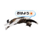 チコちゃん2（個別スタンプ：4）