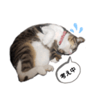 チコちゃん2（個別スタンプ：14）