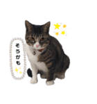 チコちゃん2（個別スタンプ：16）